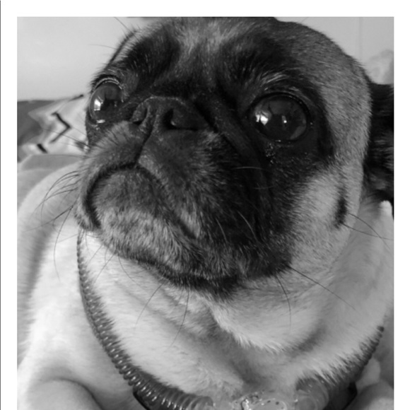 Meet your Posher, Lynda - Picture 1 of 1